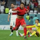 캡틴제주 이미지