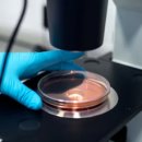 유한회사해온 이미지