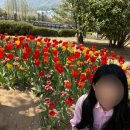 CU김해내동문화점 | 2025 김해 가야문화축제 첫날 다녀온 후기, 연지공원 피크닉 명소