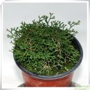 구실농장 이미지