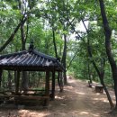 방배동 사람들 이미지