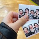 영화광 | 연초에 갑자기 영화광 된 사람|하얼빈, 러브레터(재개봉), 서브스턴스