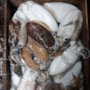 &#39;통영위판장 선어&amp;대일수산 동피랑 중앙시장 새터시장 근처위치 통영맛집가이드 한산도&#39; 밴드로 초대...