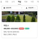 헤윰, 소 이미지