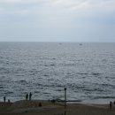 바다정원 이미지