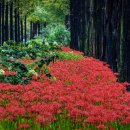 사진교실 이미지