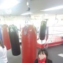 존슨 복싱 클럽 이미지