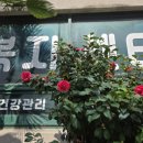 로뎀나무노인복지센터 이미지