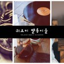 벨로체음악학원 이미지