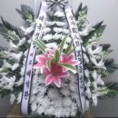놀뫼과일