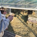 금계1천 | 목포해상케이블카 8개월 아기랑 가기 전 필독! 유모차 반입금지 &amp; 뜻밖의 동물원? (데이트 코스)