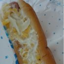 싸이다방 이미지