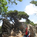 표교초교 이미지