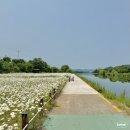 원주천 산책 : 떡볶이 데이지 카페 르브레노