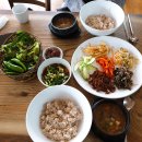 장동감나무보리밥 이미지