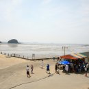 월하성어촌체험마을 이미지