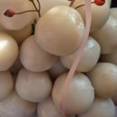 지경카센터 이미지