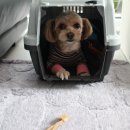 부자캔넬 이미지