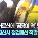 다인유통 네이버블로그