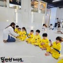 필인성 태권도장 이미지