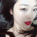 너넨 설리 레전드 사진 뭐라생각해 이미지