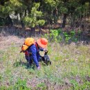 그물집 민박 이미지