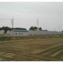 삼일기술단