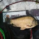 늘,그곳 이미지