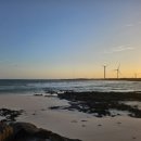 사랑이 꽃피는 민박 이미지