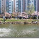 에스엠티시스템