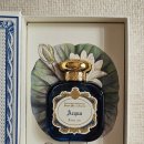 머스트메디 이미지