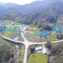 금강송민박 이미지