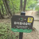 유아동네숲터 이미지