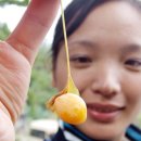 당지농장 이미지