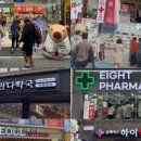 약국 네이버블로그