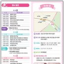 낙동강제방(강서30리벚꽃길) | 부산 강서 낙동강30리 벚꽃축제 맥도생태공원 대저생태공원 부산 꽃구경