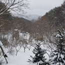 차량골농원 이미지