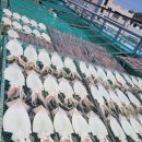 봉계시장 이미지