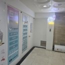 네발로오시개 이미지