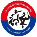 용인대 세미 태권도장 이미지