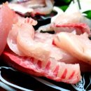 대벽 유료낚시터 네이버블로그