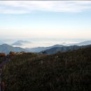 산수모일 이미지