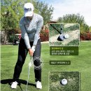 챔피언골프 이미지