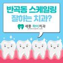 세종하이치과 이미지