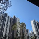 해마루중학교 | 구미 호반베르디움 분양 호반써밋아파트 직접 방문 후 상담받은 후기