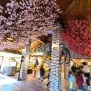 오늘제빵소 이미지