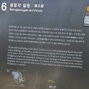 만물설비 | 596. 창덕궁 빛바람 들이기