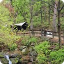 박달재 자연휴양림 1 야영장 17번 데크 후기(듀랑고 우중캠 시즈닝)