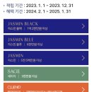 더블와이피