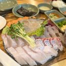 맛집] 회에 미친 커플의 극찬… 싱싱 오징어 바다 충무로점 솔직 후기 🐟 ㅣfeat. 바로 다음주에 부모님...